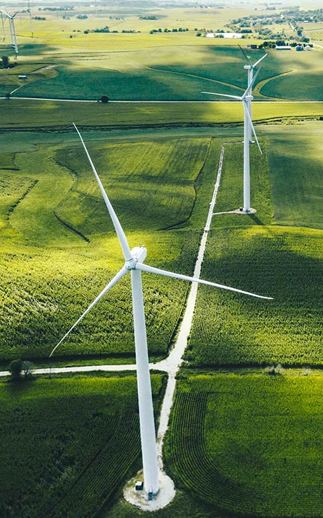 vindmøller på en grøn mark